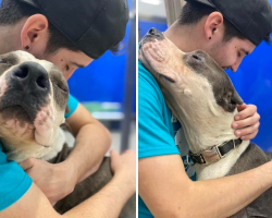 Grateful Shelter Dog Can’t Stop Hugging The People Who Saved Him