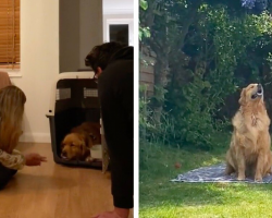 Rescue Dog Once Too Afraid To Leave His Crate Learns To Love Life in the Backyard
