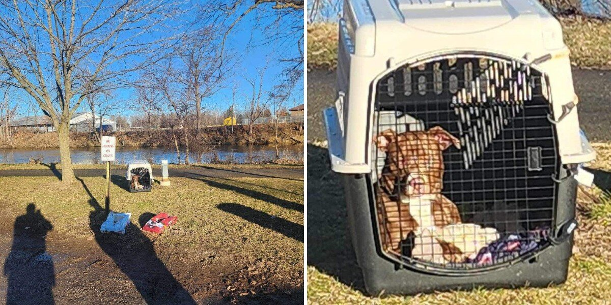 He Was Abandoned by the River With All His Belongings — Now He Can’t Stop Smiling