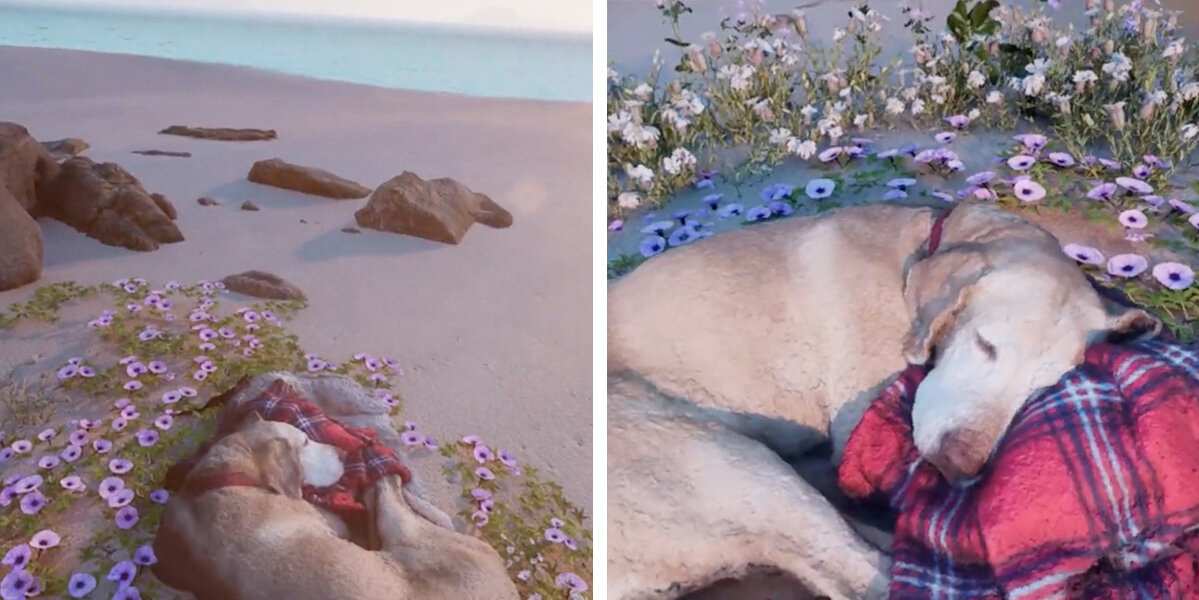 Man Creates Virtual World To Reunite With His Beloved Dog After Her Passing
