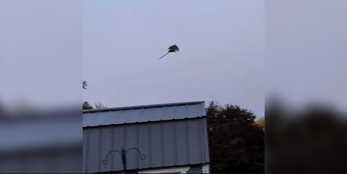 Man Spots a 'Witch' Flying Through the Sky — Then Realizes What It Really Is