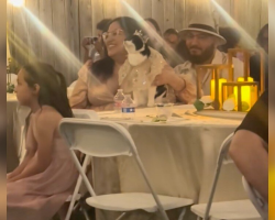Woman Throws Dream Quinceañera for Her Beloved Cat After 15 Years Together