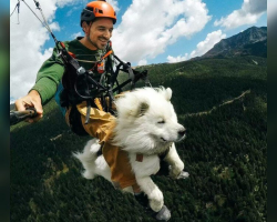 I Took My Rescue Dog Paragliding in the French Alps — And It Changed My Life