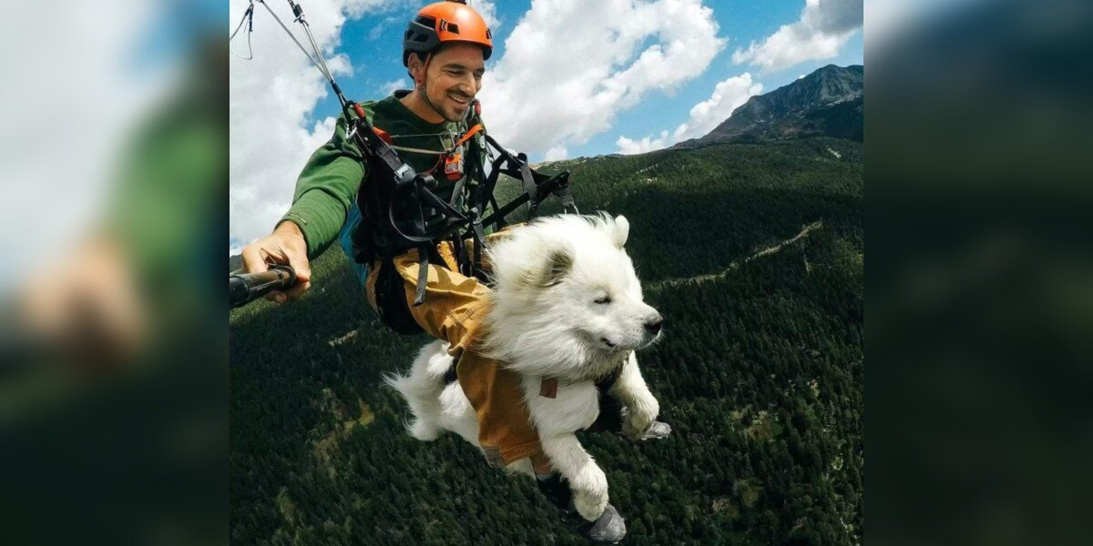 I Took My Rescue Dog Paragliding in the French Alps — And It Changed My Life
