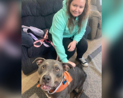 Woman Brought to Tears After Spotting Shelter Dog Wearing Her Late Pup’s Bandana