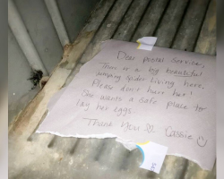 Postal Worker Finds Heartwarming Note Protecting Tiny Mailbox Resident