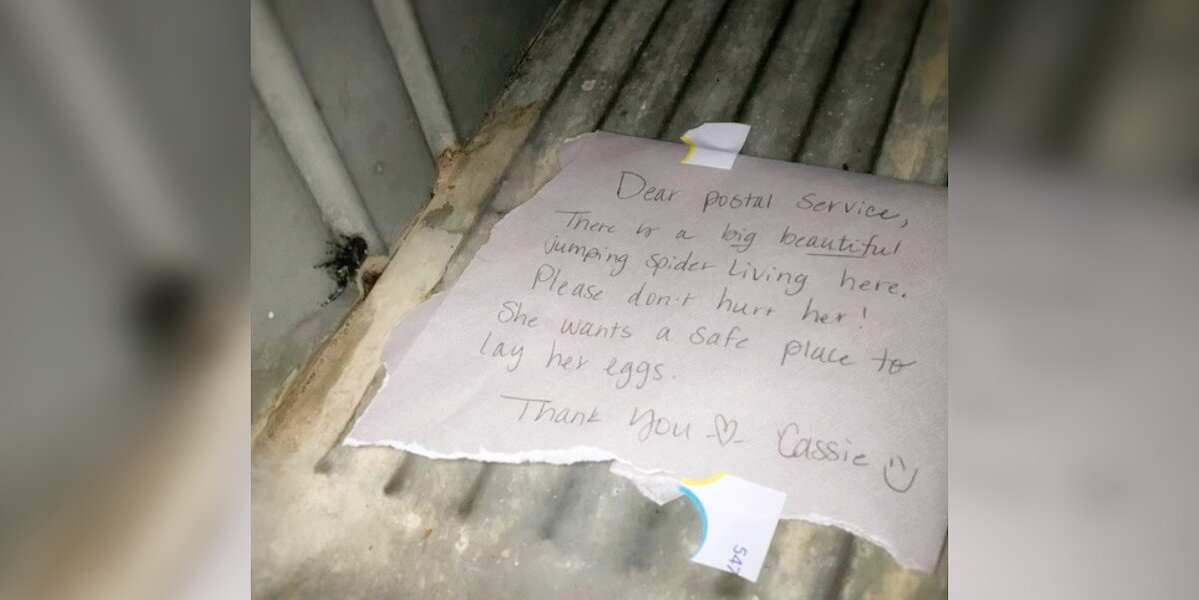 Postal Worker Finds Heartwarming Note Protecting Tiny Mailbox Resident