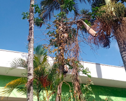 Woman Walking to Work Looks Up and Sees the Most Unexpected Sight