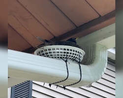 Couple Attaches Fry Basket to Drainpipe — And Ends Up Helping a Robin Become a Mom