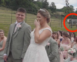 Couple Bursts Into Laughter When Uninvited Wedding Guest ‘Objects’ Mid-Ceremony