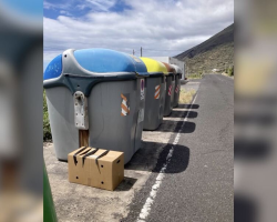 Renovators Spot a Mysterious Box by a Dumpster — And Make the Sweetest Discovery