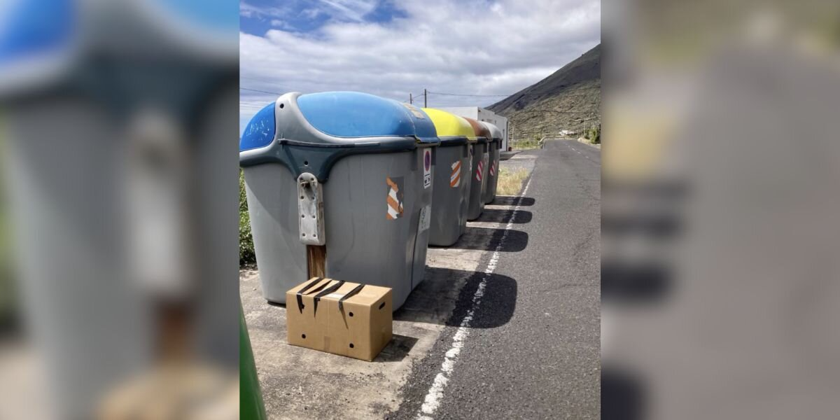 Renovators Spot a Mysterious Box by a Dumpster — And Make the Sweetest Discovery
