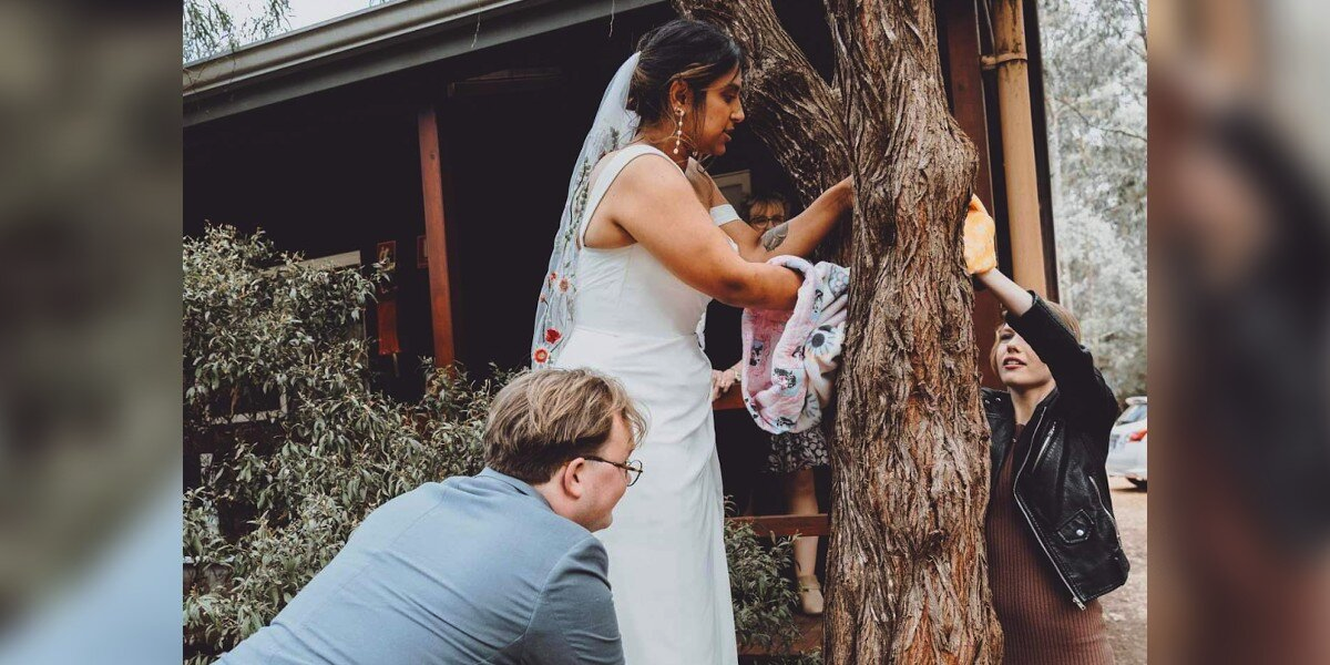 Bride Abandons Her Wedding When She Spots An Animal In Need