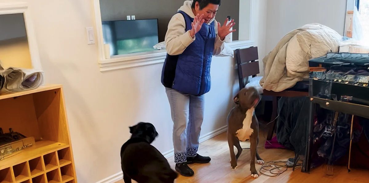 Grandma Who Was Terrified of Dogs Falls in Love With Her Daughter’s Pit Bulls