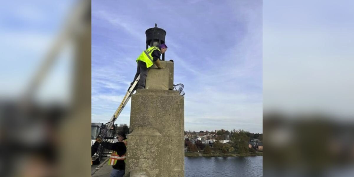 Rescuers Watch Helplessly As Animal Falls From Bridge — Then See The Unbelievable