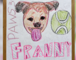 Elementary Students Write 100 Heartfelt Letters to Help Shelter Dog Find a Home
