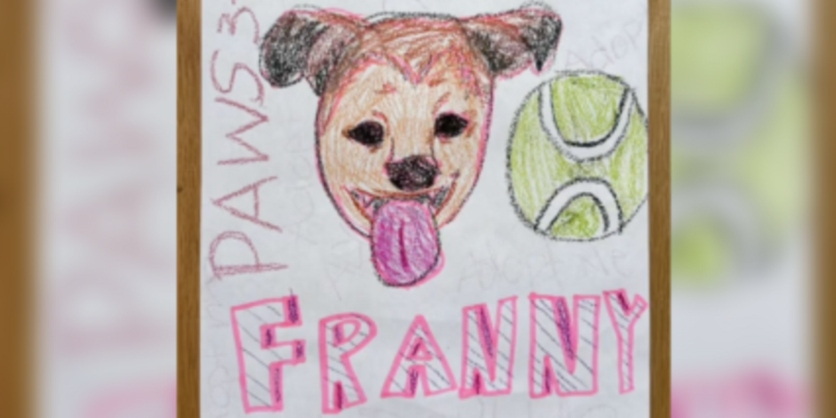 Elementary Students Write 100 Heartfelt Letters to Help Shelter Dog Find a Home