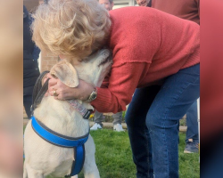 Dog Stolen From Her Yard Reunites With Family After 8 Long Years