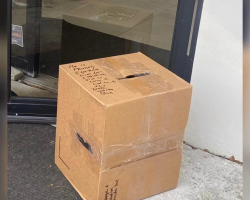 Rescuers Find Sealed Box On Their Doorstep — And A Frightened Face Inside