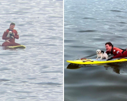 Lifeguards Spot Tiny Dog Battling Waves Far Out At Sea