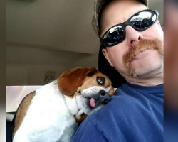 Dog Saved From Death Row Shows His Rescuer Instant Gratitude