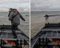 Man Sees Something Strange in the Waves — and Ends Up Saving Hundreds of Sea Turtles