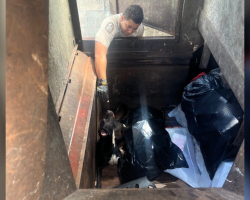 Dog Found In Trash Compactor Just Wanted Someone To Love Him