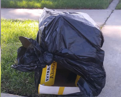 Couple Finds Puppy Sealed Inside Box On Side Of The Road