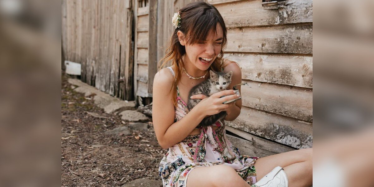 Bride’s Wedding Becomes A Fairytale When Four Kittens Steal The Show