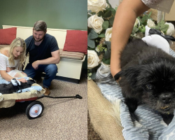 Couple Rushes To Say “I Do” At Vet Clinic — So Their Beloved Dog Could Be There Too