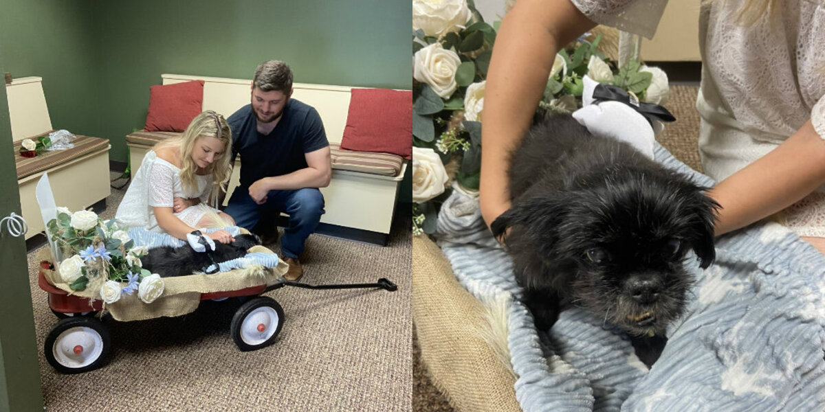 Couple Rushes To Say “I Do” At Vet Clinic — So Their Beloved Dog Could Be There Too