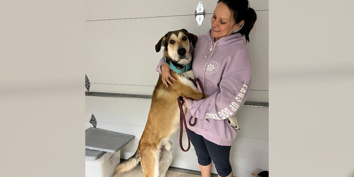 Dog Returned Just 30 Minutes After Adoption For Being ‘Too Big’ — Then Rescuers Step In To Show His True Worth