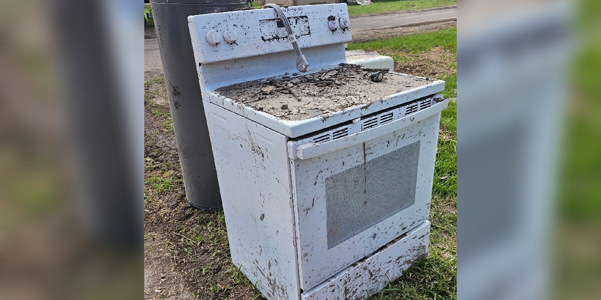 Cleanup Crew Opens Flood-Wrecked Oven — And A Miracle Cat Jumps Out