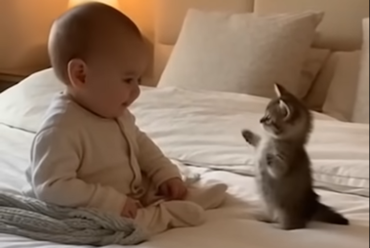 The Lovely Friendship Between a Cat and a Baby Is Melting The Internet's Heart