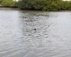 Fisherman Spots Someone Swimming Toward Him — And Gains a Lifelong Friend
