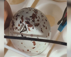 Woman Hatches Mysterious Egg From An Old Barn — And Is Shocked By Who Crawls Out