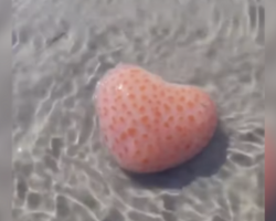 Beachgoer Stumbles Upon a Heart-Shaped Mystery in the Sand — And Scientists Love What She Found