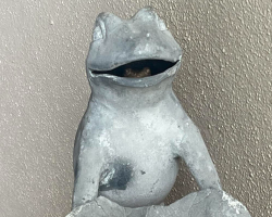 Woman Comes Home From Work — And Realizes Her Frog Statue Isn’t Exactly What It Seems