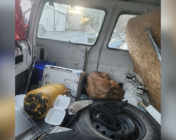Restaurant Worker Spots Abandoned Van — Then Realizes Someone Helpless Is Trapped Inside