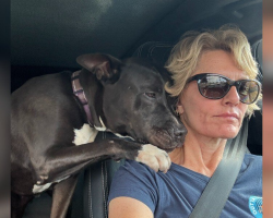 Shelter Dog Comforts Rescuer After Adopter Backs Out At The Last Minute