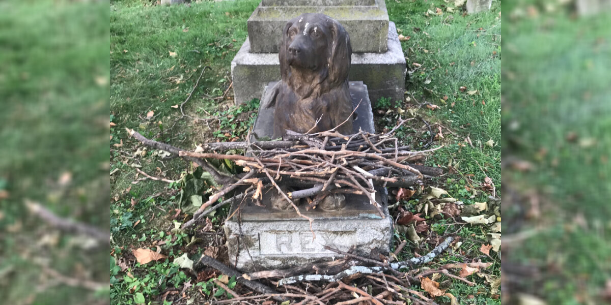 Visitors Keep Leaving Sticks At This 100-Year-Old Dog Grave — And It’s The Sweetest Tradition