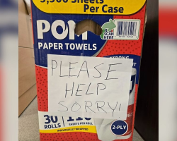 Rescuers Find Box Marked “Please Help” — And Discover Seven Newborn Puppies Inside
