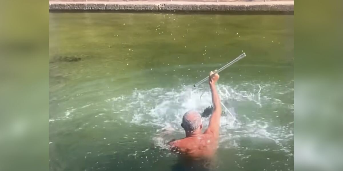 Surfer Leaps Into Tidal Pool To Save The “Puppy Dog Of The Ocean”