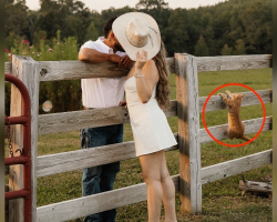 Barn Cat Crashes Engagement Shoot — And Completely Steals the Spotlight