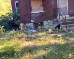 AT&T Technician Spots Something Heartbreaking Outside An Abandoned Home — And Immediately Stops His Day To Help