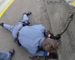 Body Cam Shows Officers Braving Busy Interstate To Save Tiny Kitten Frozen In Fear
