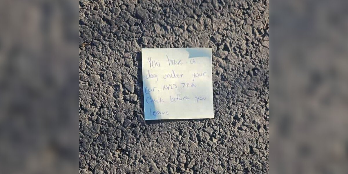 Car Owner Drops To Their Knees After Reading Mysterious Note On Their Vehicle