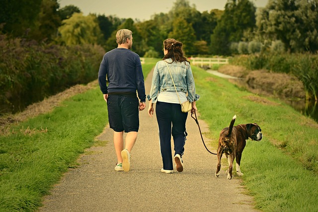 How Many Walks Does Your Dog Really Need Each Day?