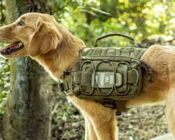 The 5 Best Dog Backpacks for Hiking and Camping (Dog Saddlebags That Actually Work)