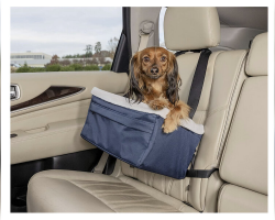 10 Best Dog Travel Crates for Safer, Stress-Free Adventures